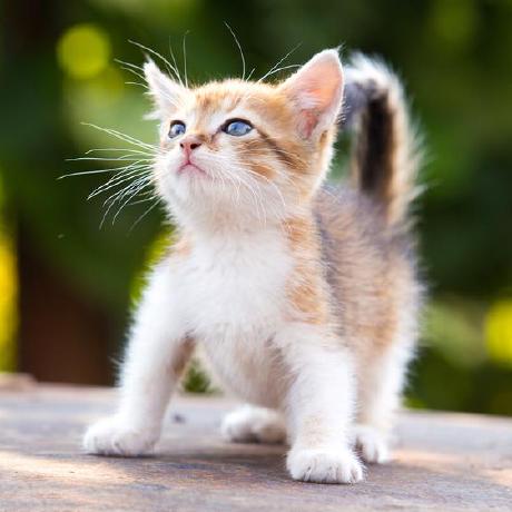 Github Ilpvc Lostandfound Springboot - High Quality Gradient Illustration - Desktop