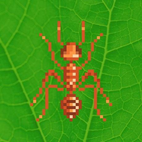 Github Liloker Ants - Download High Quality Nature Art | 8K