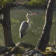 Awhittle3 Andrew Whittle Github - Geometric Pattern Collection - Mobile Quality