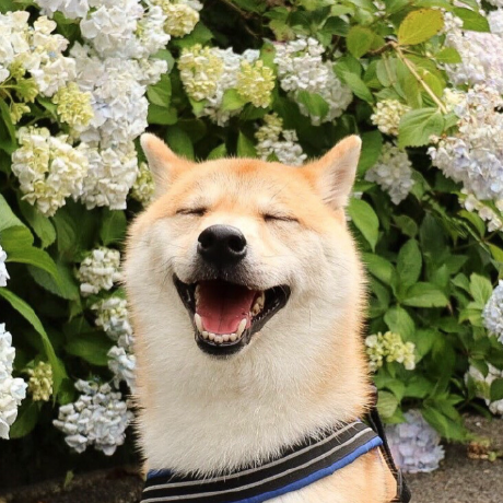 1119736939 Longfei Chen Github - Premium Mountain Photo Gallery - HD