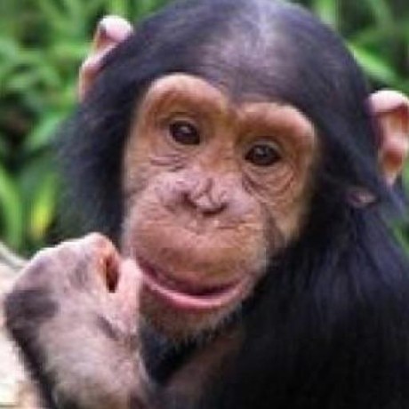 Infochimps Com Github - Best City Backgrounds in Full HD