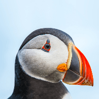 Tien Ngnvan Tiennv Github - Download Premium Sunset Background | Retina