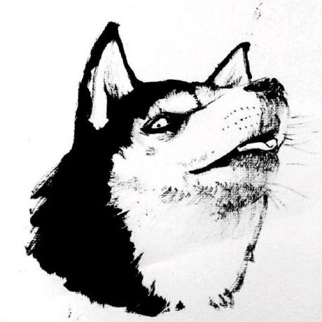 Miachol Jianfeng Github - Professional Light Pattern - High Resolution