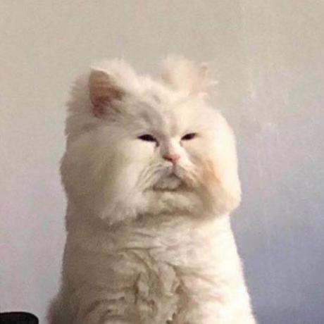 Hoo Dkwozd Github - Light Backgrounds - Ultra HD Mobile Collection