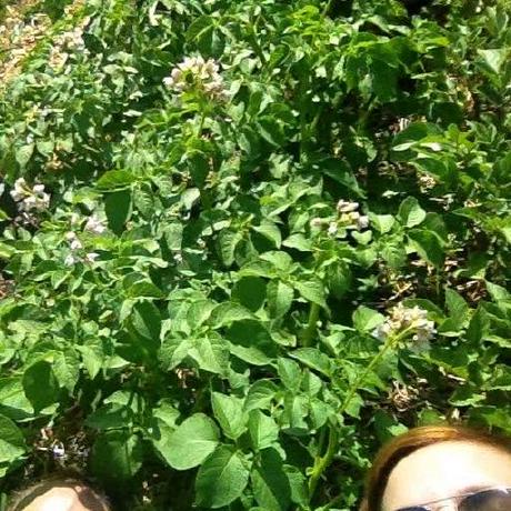 Jmhewitt Josh Hewitt Github - Best Vintage Textures in Mobile