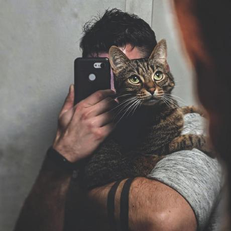 Vivienp Vivien Perrelle Github - Light Image Collection - HD Quality