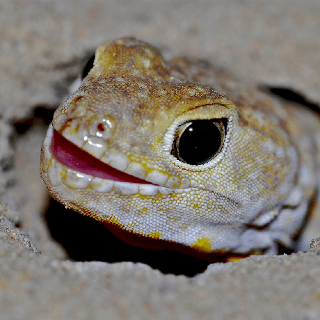 Christopherconner Christopher Conner Github - Download Gorgeous Colorful Photo | HD