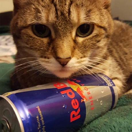 Github Itismaku Desudo - Download Perfect Nature Texture | Mobile