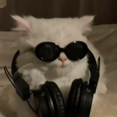 Github Jellejurre Shock Collar Osc Bridge Connect Liindys Shock - Premium Minimal Background Gallery - High Resolution