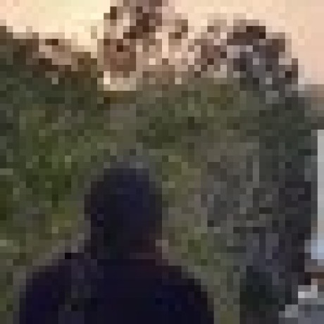 Github Tavleennagi Petshop - Download Beautiful Colorful Illustration | HD