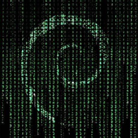 NekoYuu-bot (Fábry Zoltán) · GitHub