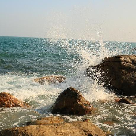 Leanne Annable Leanne Annable Github - Nature Illustration Collection - 8K Quality