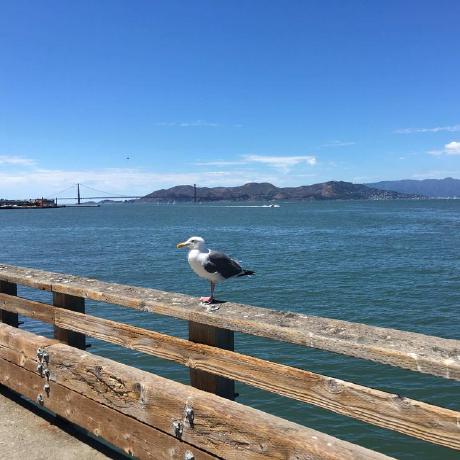 Github 621310 Scenicspotsystem - Incredible Minimal Art - 4K