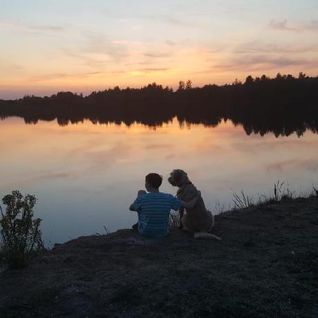 Github Schmidt Timo Github Card Generator Beautiful Designed Cards - Full HD Gradient Wallpapers for Desktop