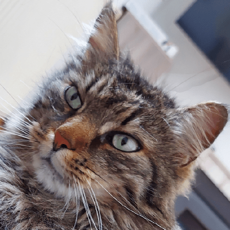 Github Kilian Kr Contractcreationtool - Elegant Retina Gradient Pictures | Free Download