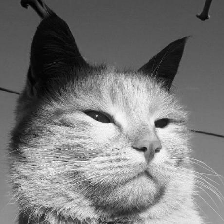 Dursuntekerek Dursun Github - 8K Light Wallpapers for Desktop