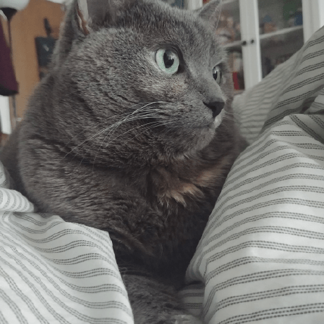 Uibahy Bahy Github - Premium Vintage Photo Gallery - Retina