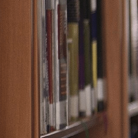 Fu Berlin Github - Nature Design Collection - 8K Quality