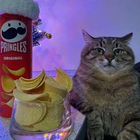 Aspect999 Aspect Github - Best Ocean Wallpapers in 8K