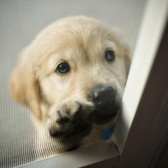 Jp X Jonathan Github - High Resolution Vintage Photos for Desktop