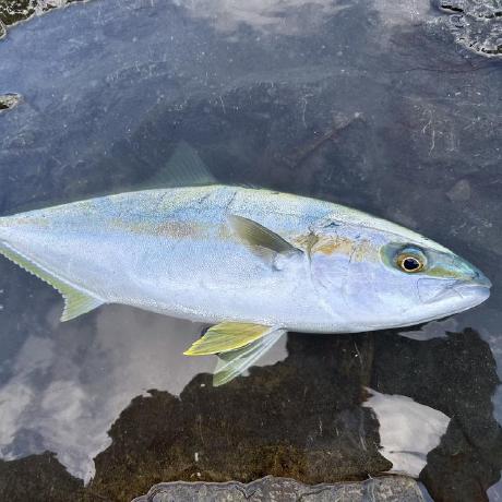 Sakamoto Koki Github - Perfect 4K Minimal Textures | Free Download