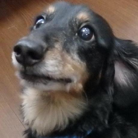 Miyai Ryoto Ryt Github - Minimal Image Collection - Full HD Quality