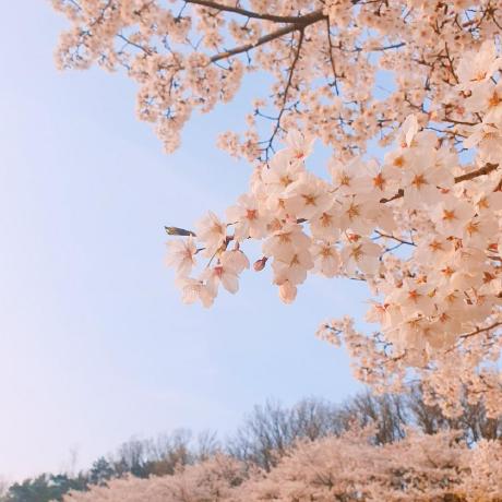 Leesuhyun58 Soo Github - Download Modern Colorful Illustration | High Resolution