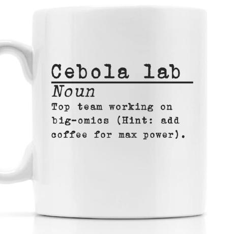 Github Cebolalab Atac Seq Analysis Pipeline For Atac Seq Data - Elegant 8K Gradient Designs | Free Download