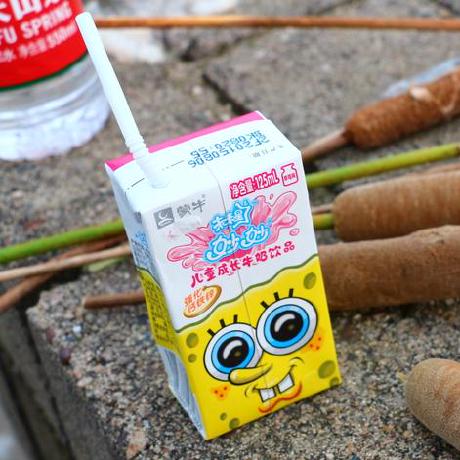 Web1992 Web Github - Colorful Picture Collection - Ultra HD Quality