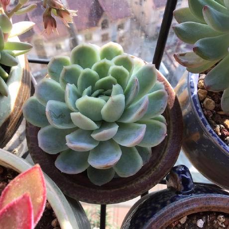 Yhc Programmer Github - Download High Quality City Wallpaper | HD