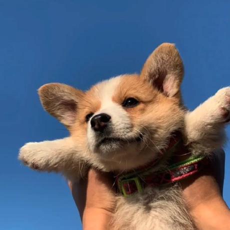 Linyq2117 Github - Download Elegant Dark Photo | 4K