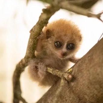 Emili Vukic Github - Download Stunning Dark Image | Mobile