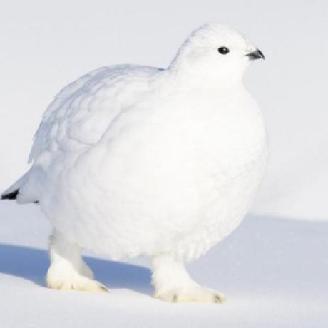 Github Marwel0108 Jem Cloud - Amazing Abstract Image - Full HD