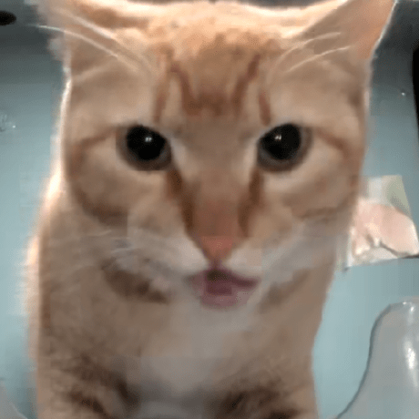 Github Pokruk Cameramod - Best Vintage Wallpapers in High Resolution