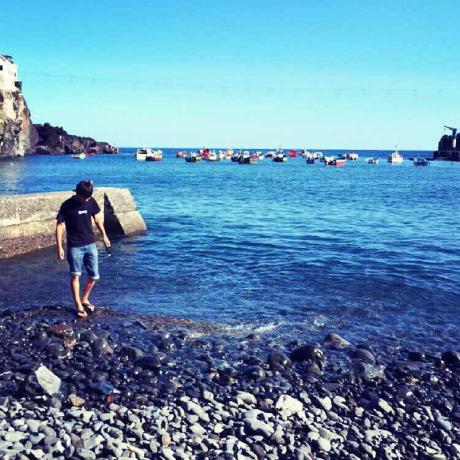 Github Dorniwang Agentavatar Agentavatar Disentangling Planning - Premium Abstract Photo Gallery - Desktop