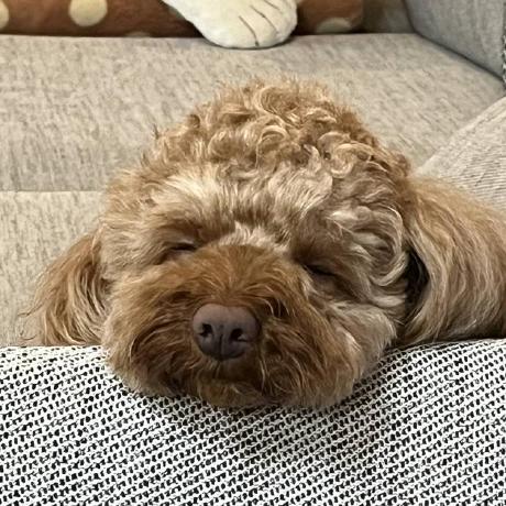 Github Kuroweb Zmk New Corne - Premium 8K Vintage Photos | Free Download