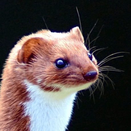 Github Baobz Parabola - Premium City Picture Gallery - 4K