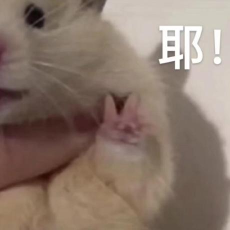 Its Aky Github - Best Mountain Wallpapers in Full HD