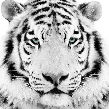 Cw Soft M Seifert Github - Download Creative Space Picture | Desktop