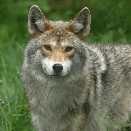 Github Kosuke Taniguchi Goblogcleanarch - Gradient Illustrations - Modern High Resolution Collection