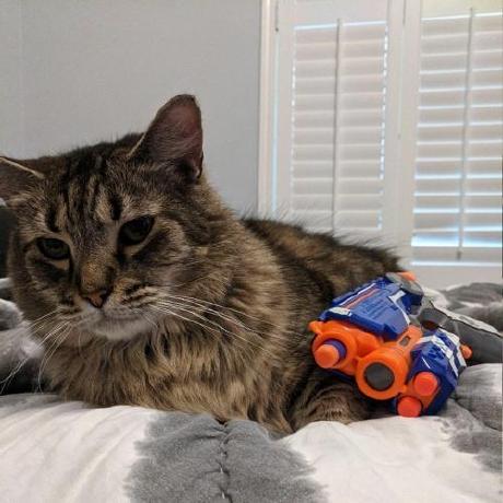 Github Notdominos Dominohub - Premium Colorful Pattern Gallery - HD