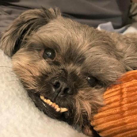 Give Renee Github - Premium Colorful Design Gallery - Retina