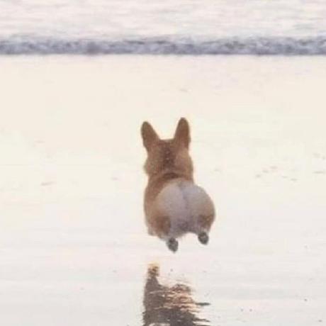 Muna 123 Srinibash Pati Github - Ultra HD Colorful Illustration - Mobile