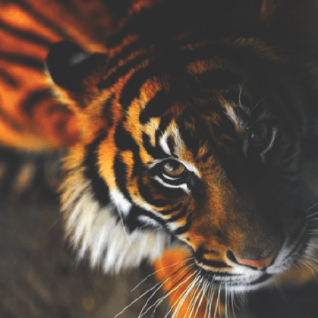 Github Zrips Cmilib - 8K Vintage Patterns for Desktop