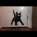 Klevertech Free Github - Best Abstract Photos in 8K