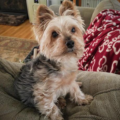 Wynncustom - Nature Image Collection - Retina Quality