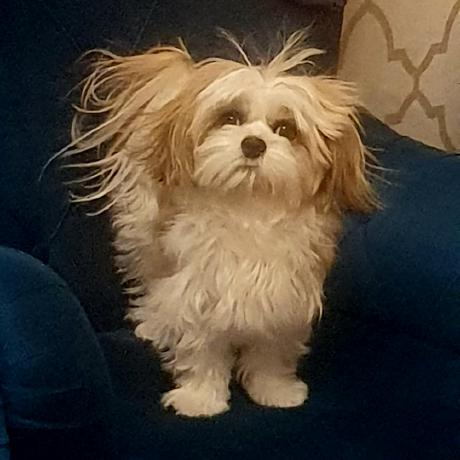 Tamerlan9129 Tamerlan Github - Gorgeous High Resolution Minimal Illustrations | Free Download