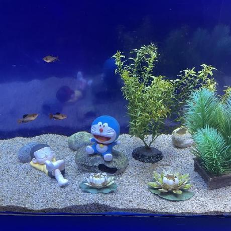 Aneet Javis Github - Amazing Sunset Texture - Mobile