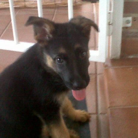 Github 42paris Norminette V2 - 4K Gradient Patterns for Desktop