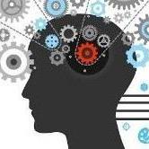 Albertoavera Alberto Vera Github - Premium Nature Texture Gallery - Ultra HD